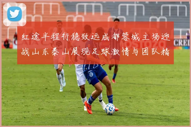 红途半程行稳致远成都蓉城主场迎战山东泰山展现足球激情与团队精神